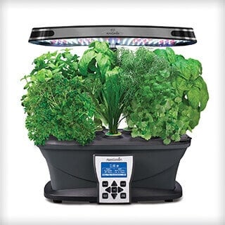 Indoor Smart Herb Garden