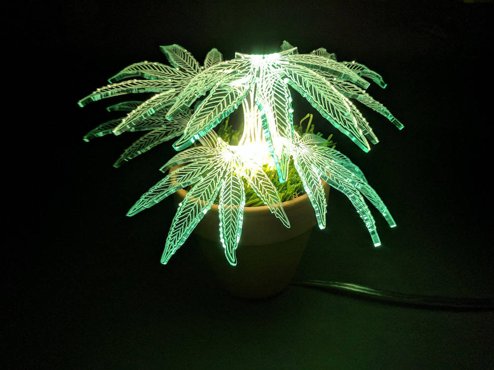 Plant Lamps by Mariana Folberg 1