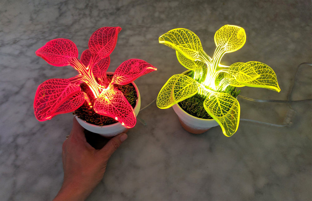 Plant Lamps by Mariana Folberg 3