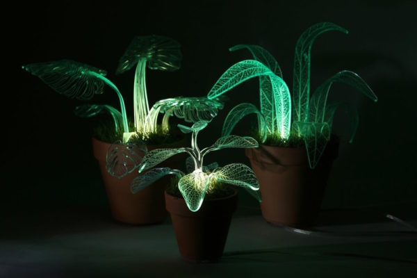 Plant Lamps by Mariana Folberg