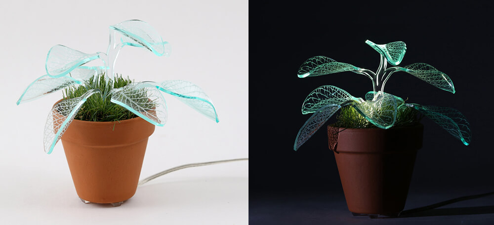 Plant Lamps by Mariana Folberg two