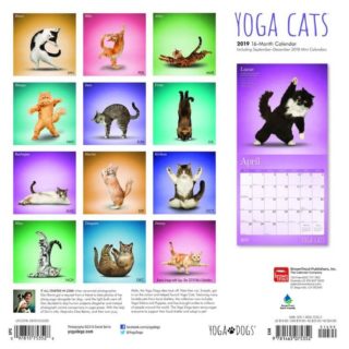 Gifts Yoga Cats 2019 2