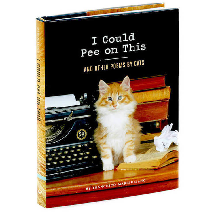 Gift Ideas Poems By Cats