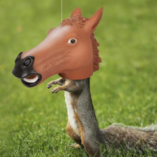 Horse Head Squirrel Feeder Gift