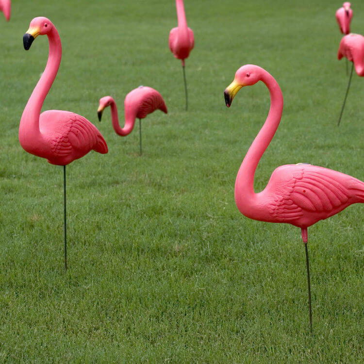 Pink Flamingo Gift