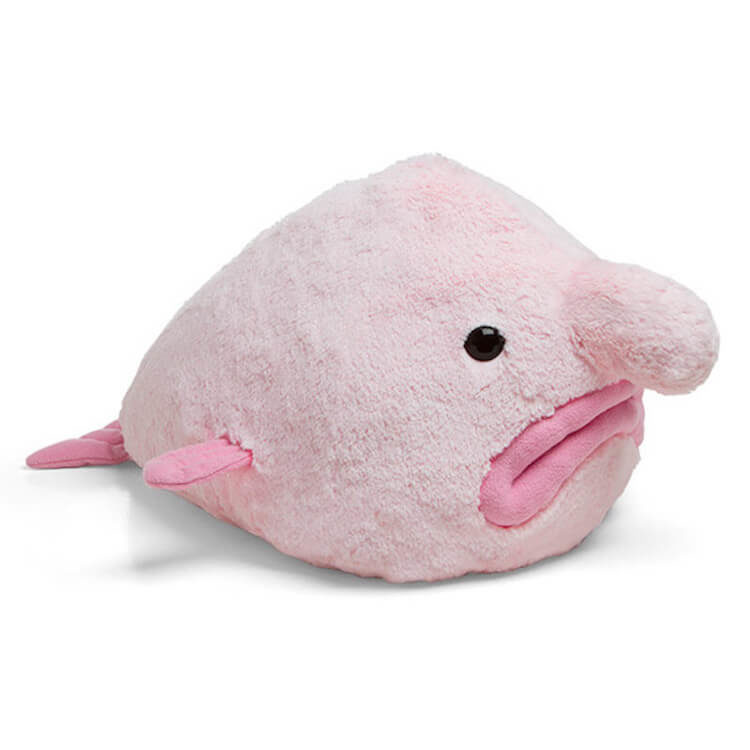 Blobfish Pillow Gift