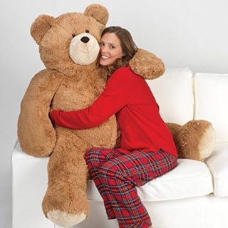 Gift Teddy Bear Anniversary Gift Idea