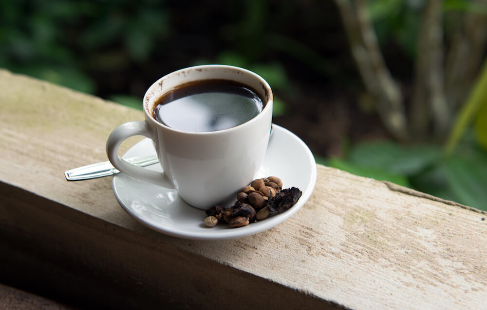 Kopi Luwak Coffee In Cup