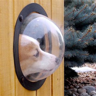 Pet Fence Window Gift For House 2