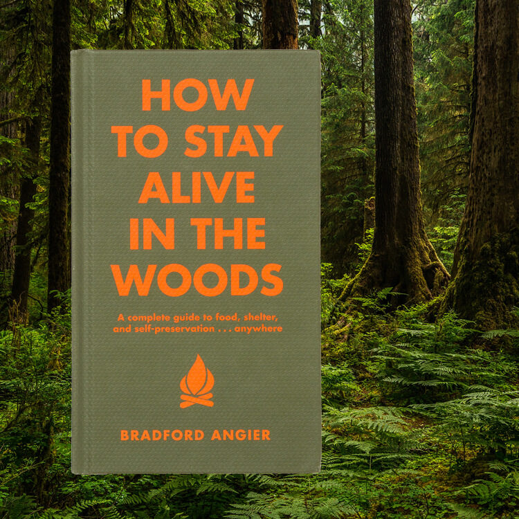 Stay Alive In Woods Book Gift Idea 2