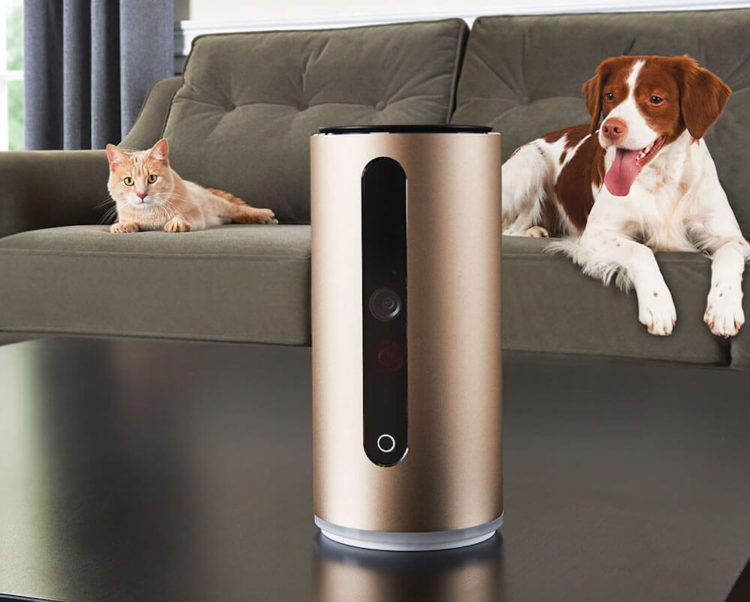 Gifts For Dog Lovers Pet Nanny Cam