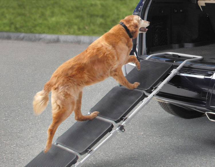 Gifts For Dog Lovers Portable Pet Staircase