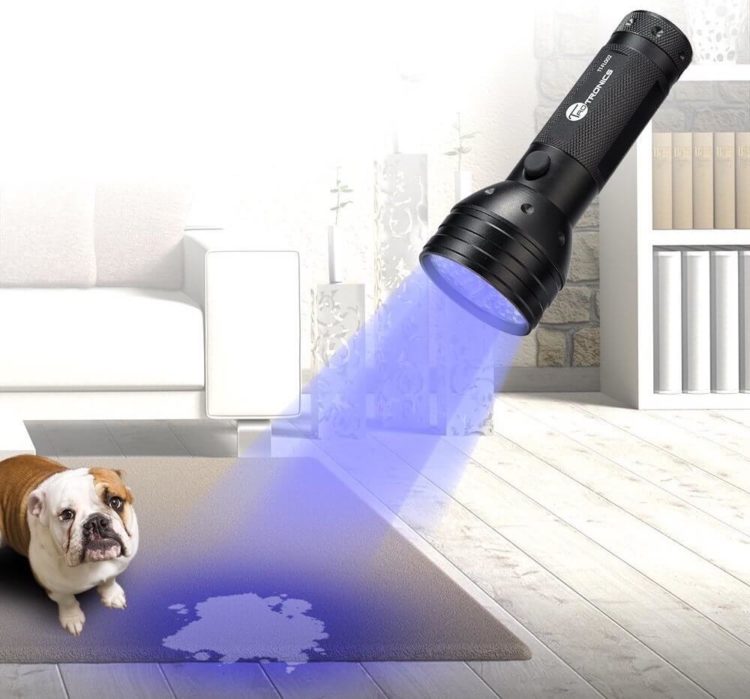 Gifts For Dog Lovers Urine Detector For Dogs