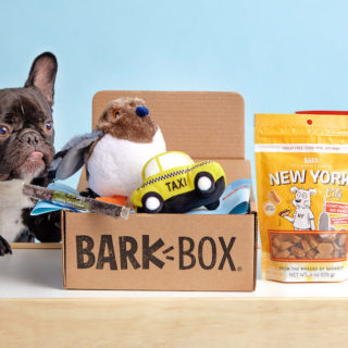 Gifts For Dog Lovers Bark Box
