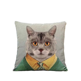 Funny Weird Gift Cat Pillow