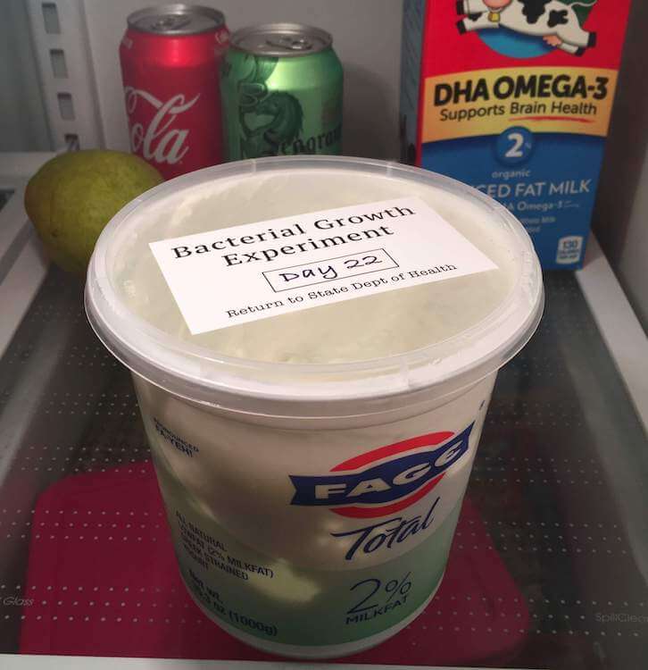 Food Theft Deterrent Stickers Gift Coworker Office Yogurt