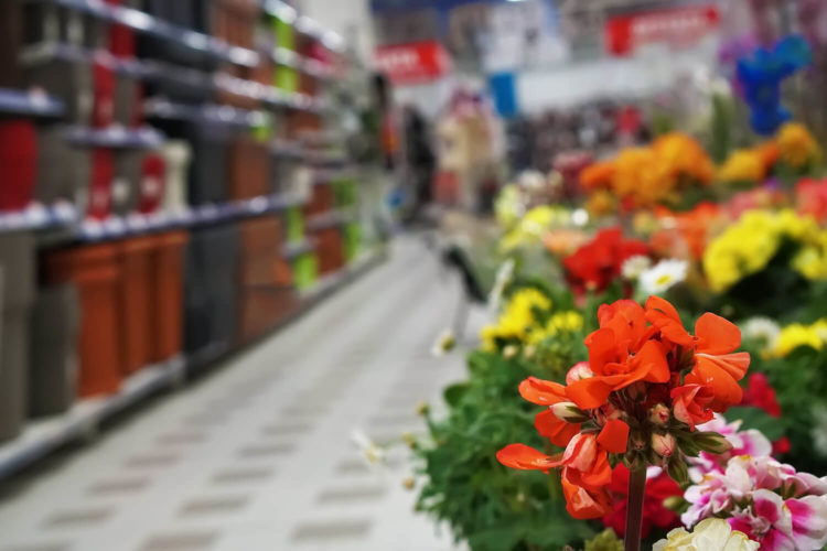 Grocery Store Flowers