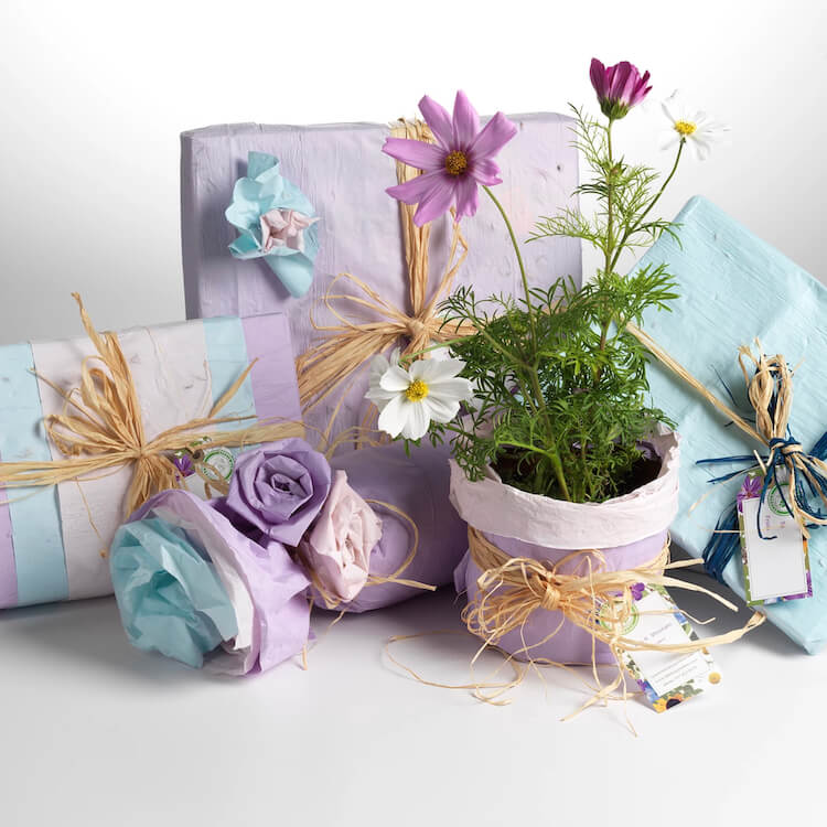 Gift Wrap Paper That Grows Into Flowers