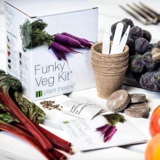 Funky Veggie Kit Gift Box 2