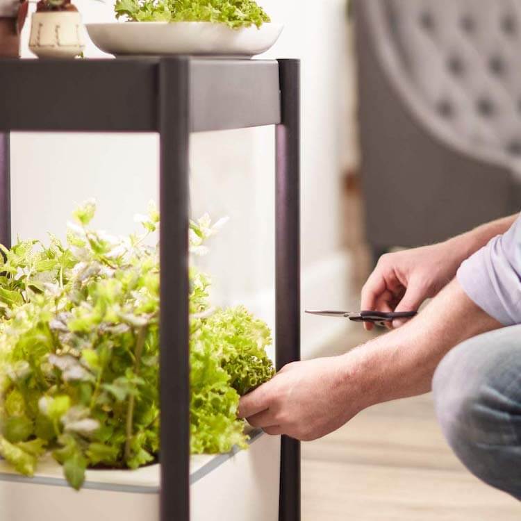 Herb Garden Side Table 2