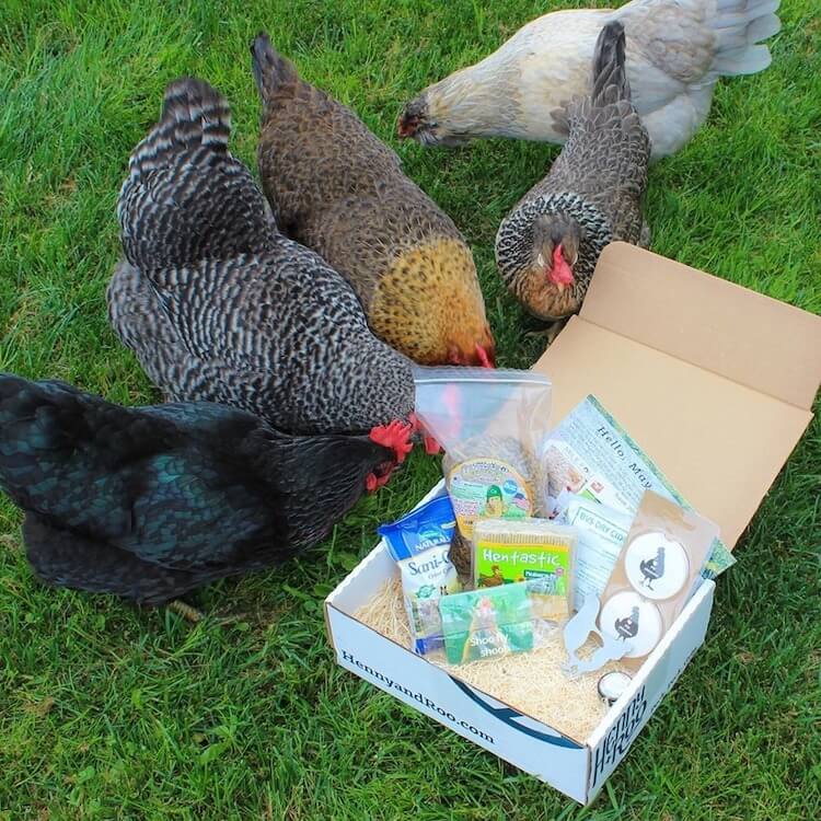 Weird Subscription Boxes Chicken