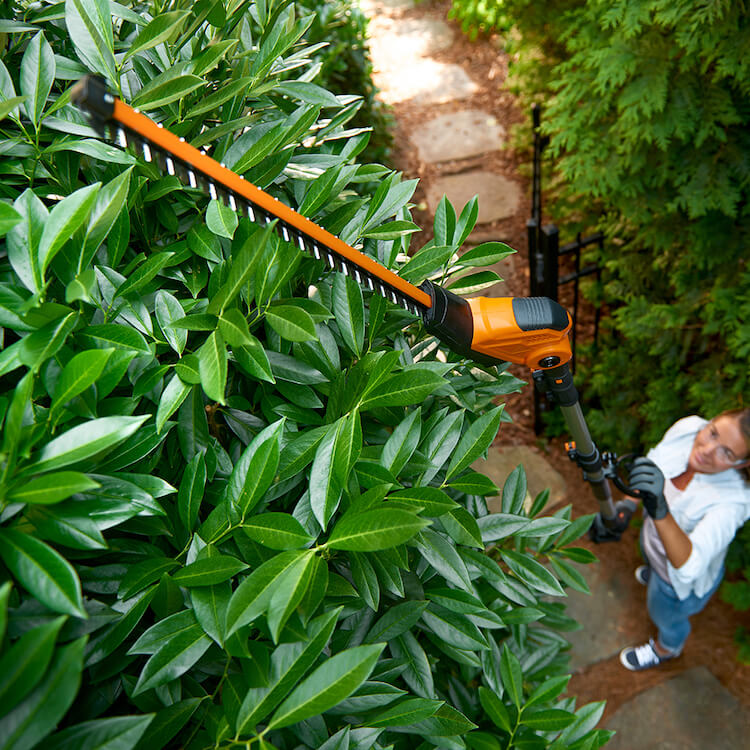 Long Reach Hedge Trimmer Gift 2