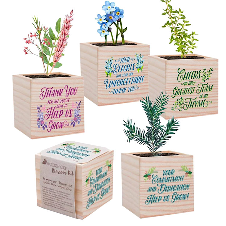 Employee Appreciation Planter Desk Cube Gift